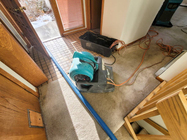 Best Local water damage restoration  in Fosston, MN