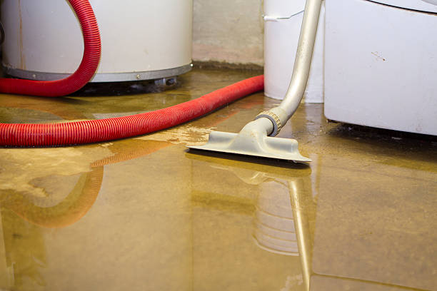 Best Ceiling water damage repair  in Fosston, MN