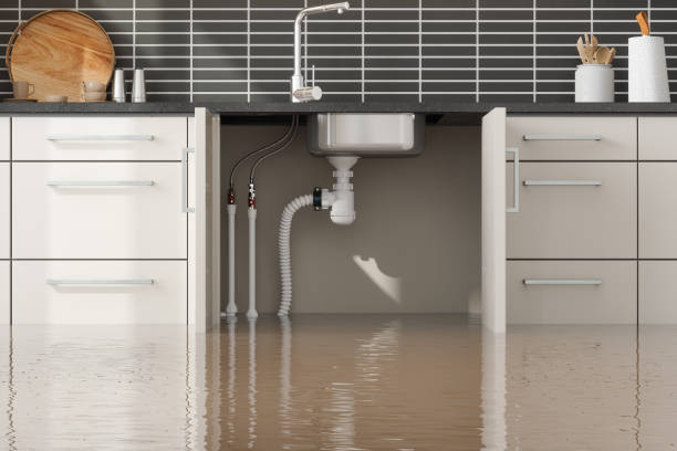 Best Water damage restoration experts  in Fosston, MN