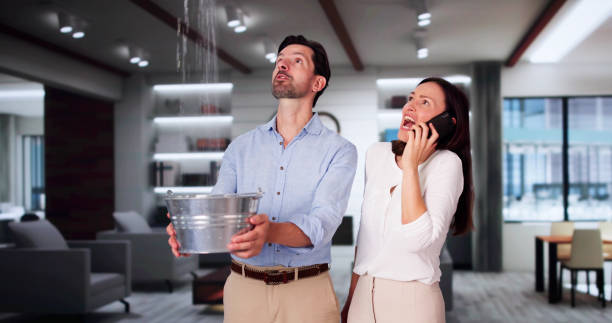 Best Residential water damage restoration  in Fosston, MN