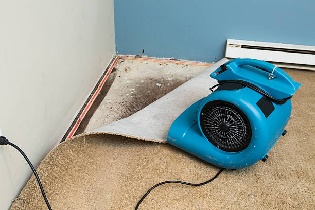 Best Water damage restoration process  in Fosston, MN